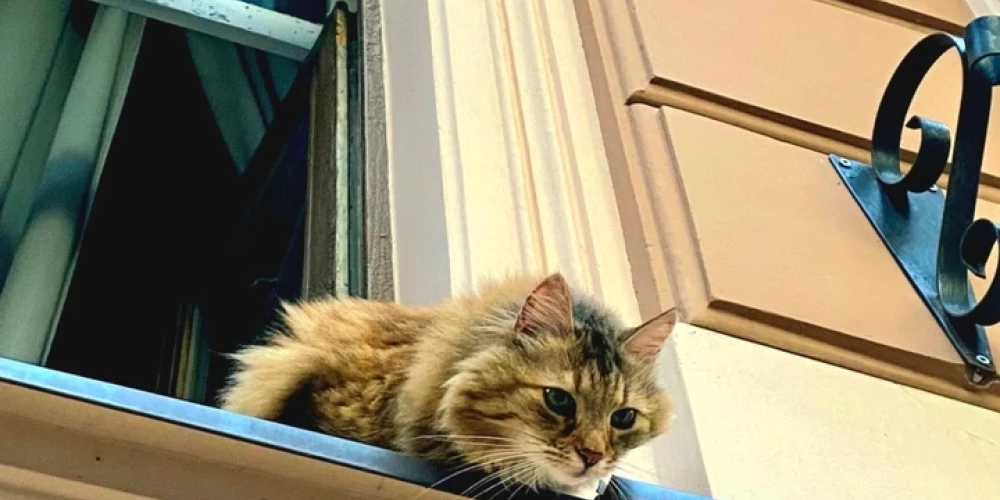 Aizsargās iedzīvotājus, kas nezinādami iegādājušies noziedzīgā ceļā iegūtus nekustamos īpašumus.