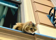 Plāno aizsargāt iedzīvotājus, kuri neapzināti nopirkuši noziedzīgi iegūtus nekustamos īpašumus