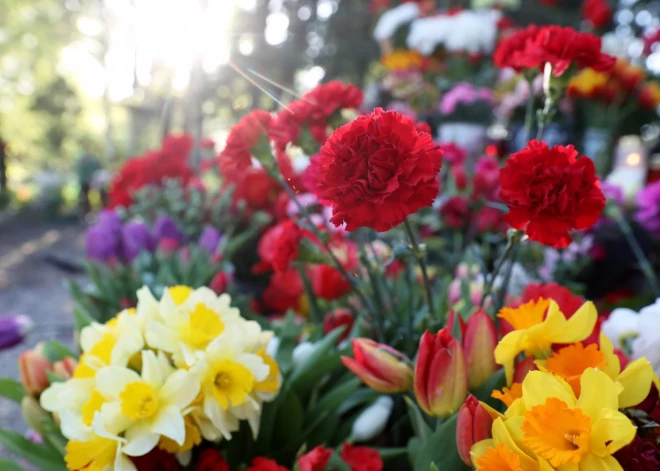 Trešdien spīdēs saule un gaiss iesils līdz +18 grādiem