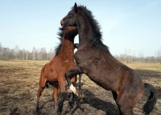 До +18! В выходные ожидается сухая и солнечная погода