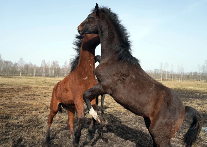 До +18! В выходные ожидается сухая и солнечная погода