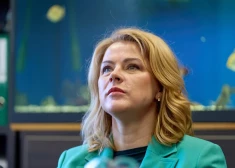 Стало известно, почему Эвика Силиня воспользовалась VIP-залом в аэропорту Амстердама