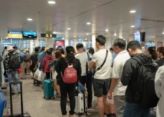 Новая система пограничного контроля создает в аэропортах очереди до трех часов, пассажиры опаздывают на самолеты