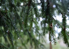 Naktī vietām valsts rietumos un austrumos gaidāms lietus. 