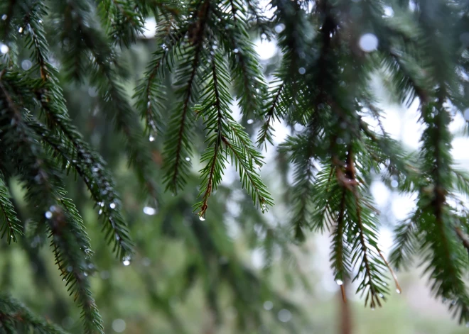 Naktī vietām valsts rietumos un austrumos gaidāms lietus