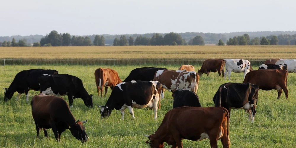 Jau 2026. gada 2. maijā no plkst. 10.00 Vecauces izstāžu laukumā notiks pasākums “Sējas svētki Vecaucē 2026”. 