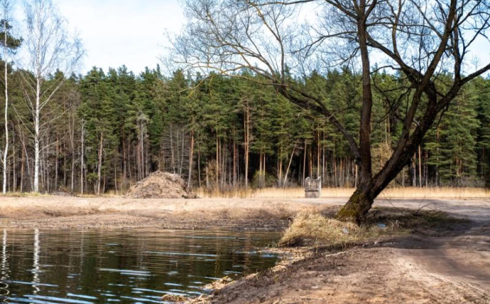Daugavpilī Ruģeļu mitrājā norisināsies izglītojošs pasākums un talka