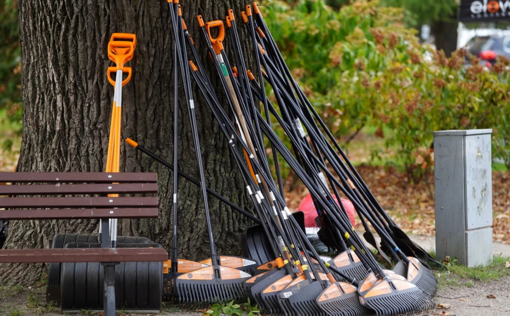 Darba devēji izrādījuši lielu interesi par skolēnu nodarbināšanu vasarā