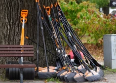 Darba devēji izrādījuši lielu interesi par skolēnu nodarbināšanu vasarā