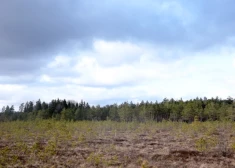 В четверг во многих местах ожидаются дожди, местами - сильные