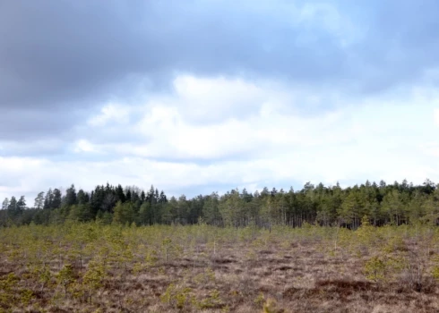 Иллюстративное фото.