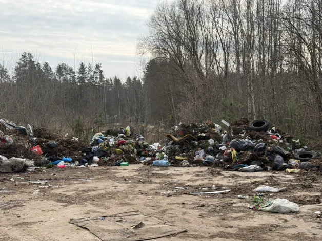 Daugavpilī šopavasar likvidētas jau četras stihiskās izgāztuves.