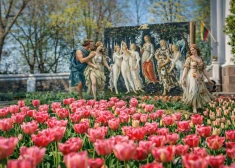 Один из самых ожидаемых фестивалей сезона стартует уже в выходные: чем будет удивлять Пакруойская усадьба