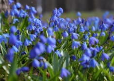 В пятницу после дождей в Латвии выглянет солнце