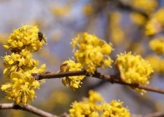 Солнце и +16: Латвию ждут по‑настоящему теплые выходные