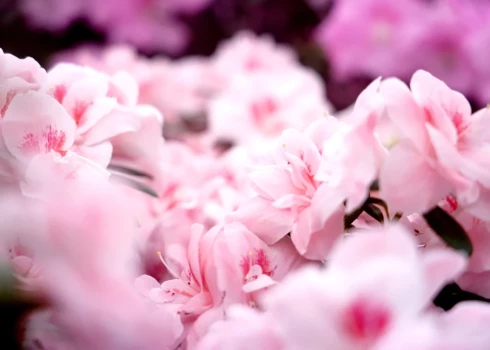 Иллюстративное фото.