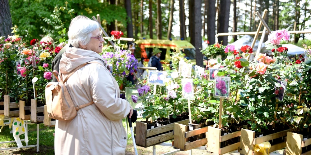 Весенняя ярмарка в Вентспилсе соберет продавцов рассады, цветов и местных продуктов.