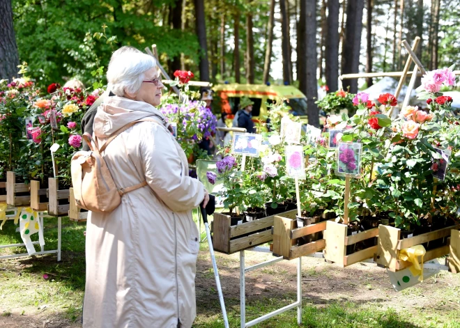 В Вентспилсе готовят майское событие, мимо которого дачникам будет трудно пройти