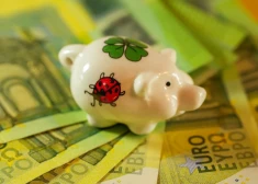 Почти 100 тысяч на 8 добрых дел: какие проекты в Латвии получили поддержку Фонда интеграции общества?