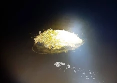 Robežsargi no Daugavas izzvejo traktora riepas ar kontrabandas cigaretēm