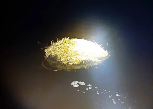 Foto Valsts robežsardze