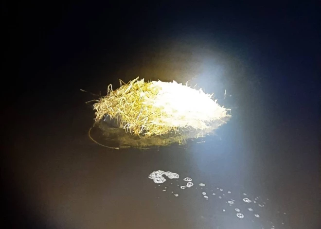 Robežsargi no Daugavas izzvejo traktora riepas ar kontrabandas cigaretēm