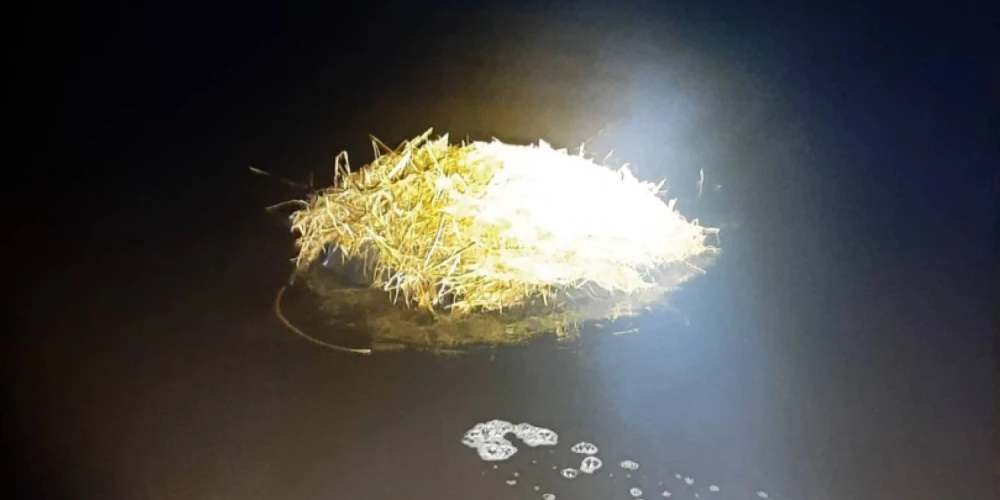 При осмотре камер пограничники обнаружили 62 060 сигарет.