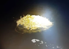 Контрабанда на плаву: из Даугавы достали тракторные камеры с белорусскими сигаретами