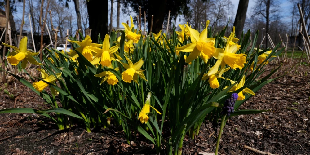 Иллюстративное фото.