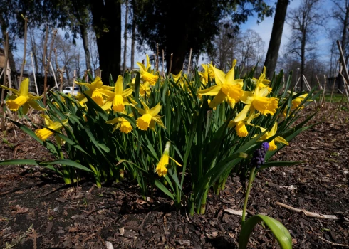 Иллюстративное фото.