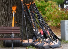 Почти 1000 работодателей ищут сотрудников среди школьников: где записаться на летнюю работу?