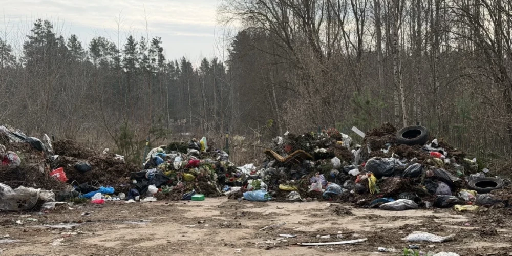 Этой весной в Даугавпилсе уже были ликвидированы четыре свалки.