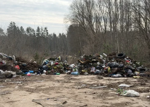 Этой весной в Даугавпилсе уже были ликвидированы четыре свалки.