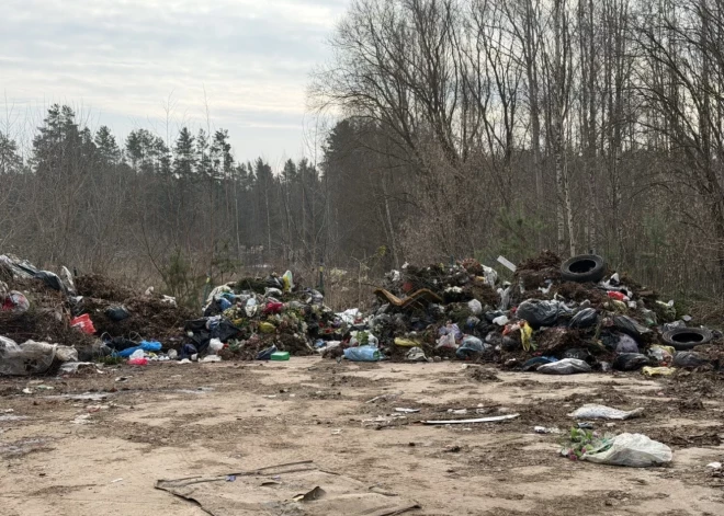 55 000 евро из городского бюджета - на мусор: как Даугавпилс борется со свалками