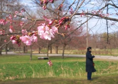 В Латвии ожидается холодная ночь без дождя и солнечное воскресенье