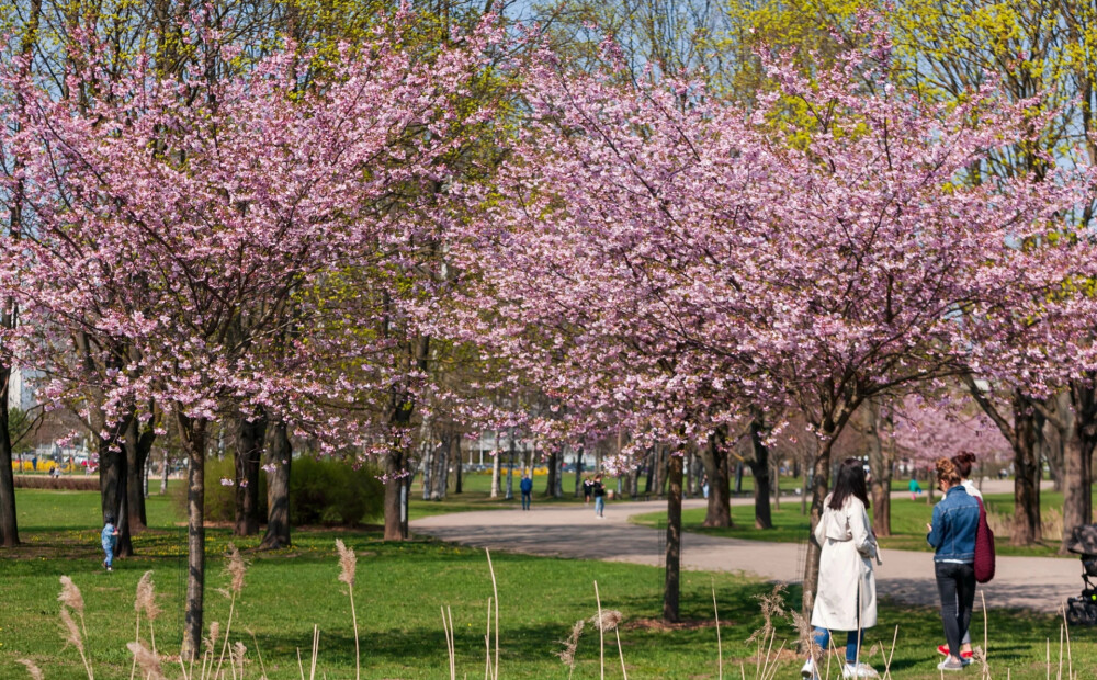 Teju puse Latvijas iedzīvotāju par nākotni satraucas viena iemesla dēļ