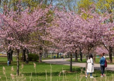 Teju puse Latvijas iedzīvotāju par nākotni satraucas viena iemesla dēļ
