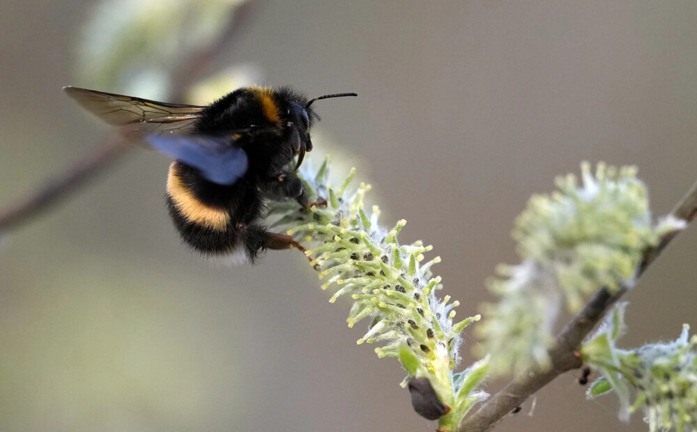 Svētdien saule mīsies ar mākoņiem