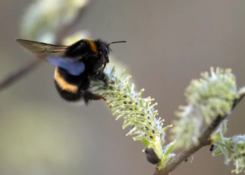 Иллюстративное фото.