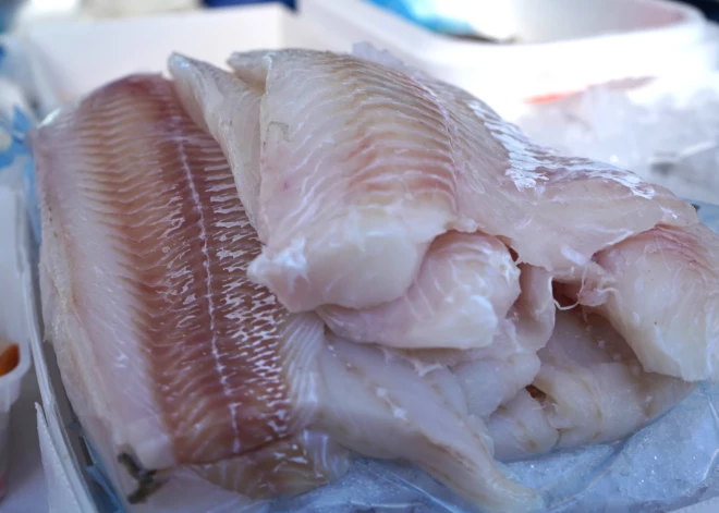 PVD Spānijas izcelsmes hekā konstatējis parazitāro slimību ierosinātājus, bet Ēģiptes apelsīnos - pesticīdus