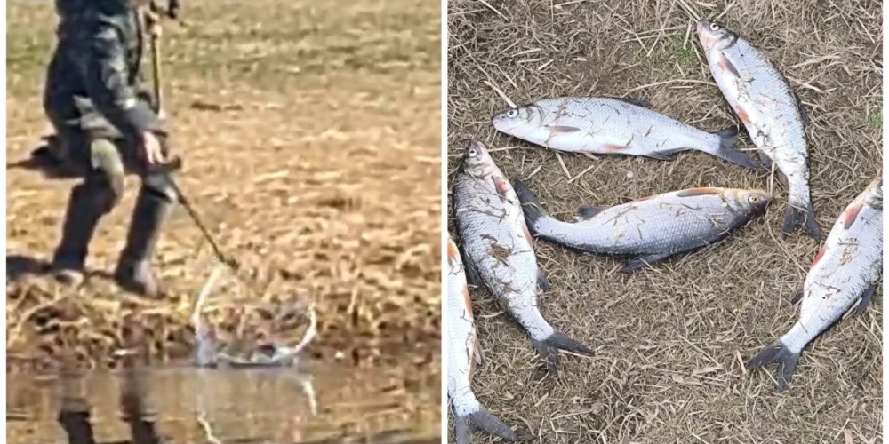 Полиция Адажи арестовала рыбака, который ловил рыбу запрещенным способом.