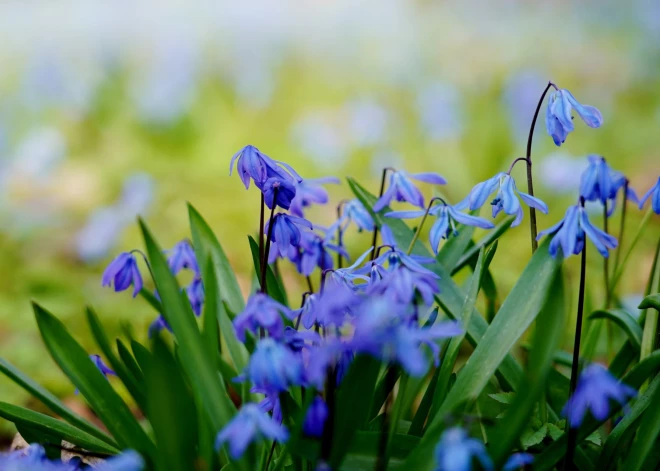 После холодной ночи в Риге и по стране ожидается солнечный день без осадков