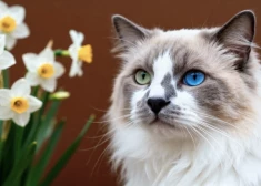 Strīdos par naudu šonedēļ neiesaisties - horoskops visām zodiaka zīmēm no 20.04. līdz 26.04.