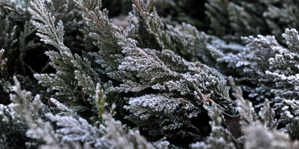 Visaukstākais rīts bijis Vidzemē.