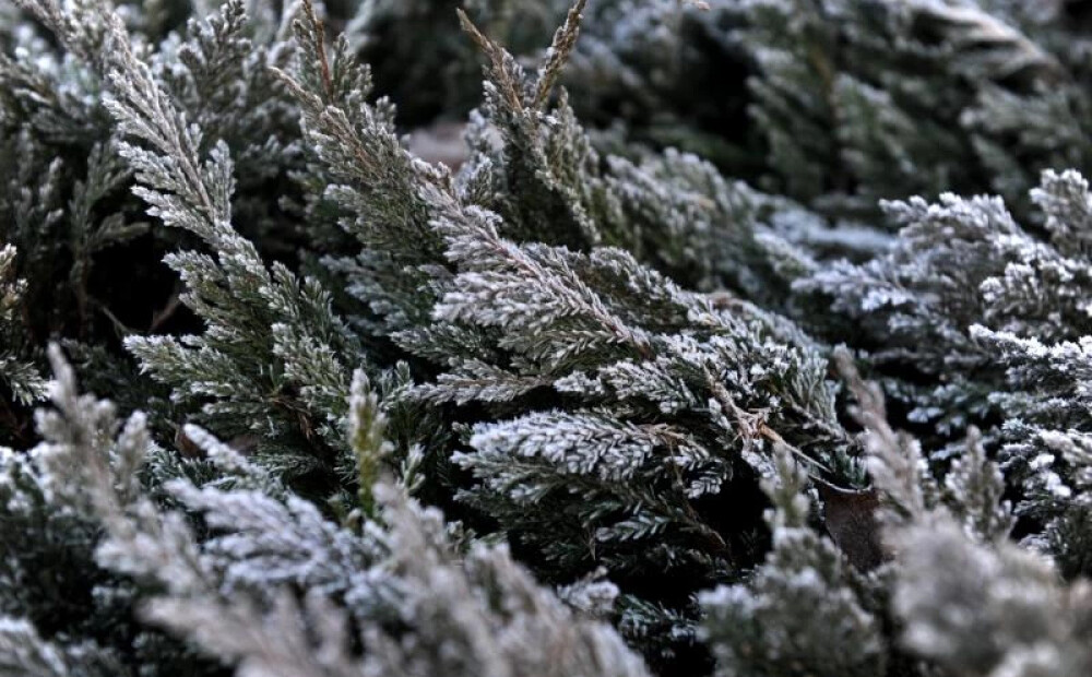 Dažviet Latvijā gaisa temperatūra pazeminājusies līdz -5 grādiem; dienā kļūs siltāks