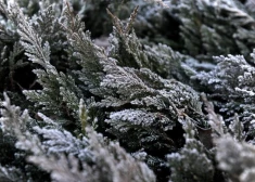 Dažviet Latvijā gaisa temperatūra pazeminājusies līdz -5 grādiem; dienā kļūs siltāks