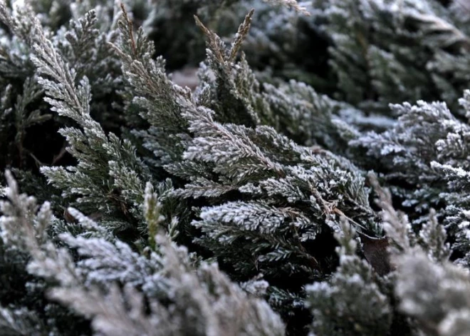 Dažviet Latvijā gaisa temperatūra pazeminājusies līdz -5 grādiem; dienā kļūs siltāks