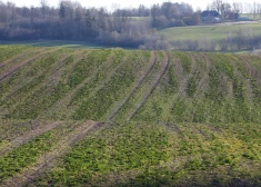Температура воздуха в Видземе ночью понизилась до -5 градусов, день будет солнечным
