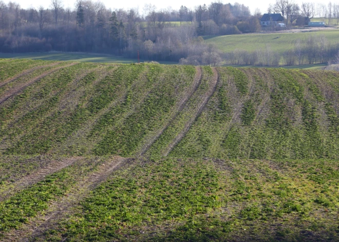Температура воздуха в Видземе ночью понизилась до -5 градусов, день будет солнечным