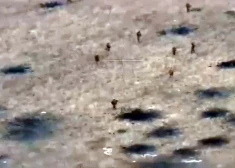 Jauns okupantu armijas mēģinājums uzbrukt pa gāzesvadu un ar viegliem transportlīdzekļiem beidzas ar pilnīgu sakāvi